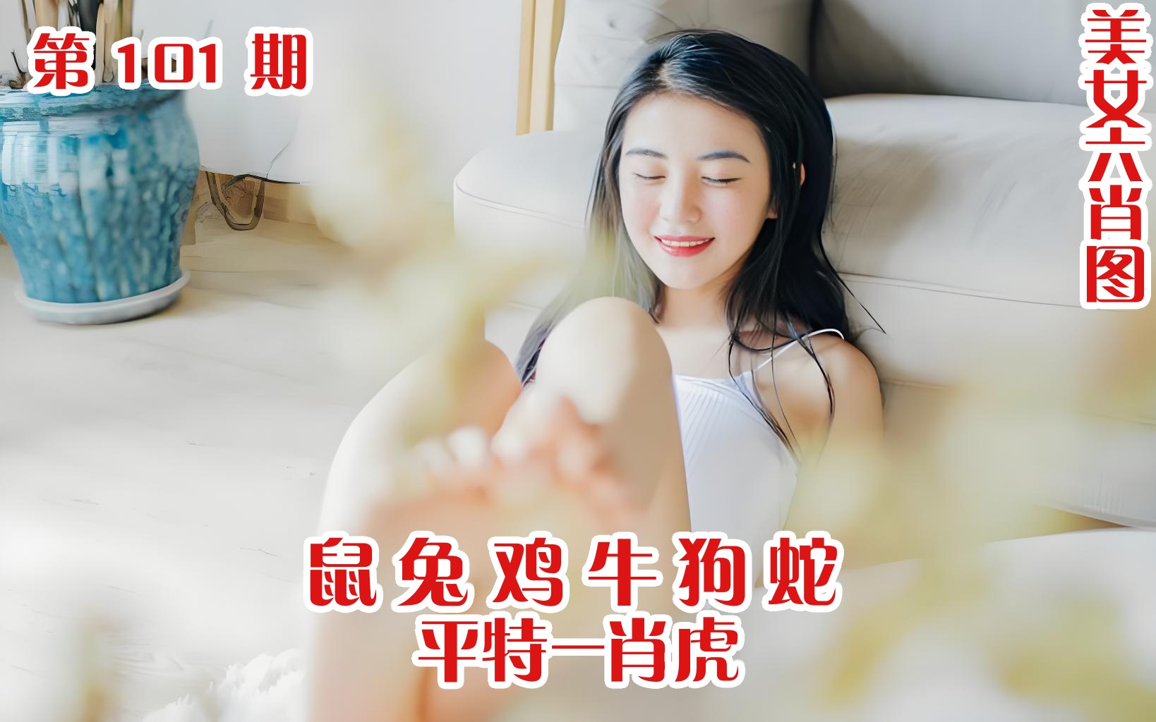美女六肖 101期