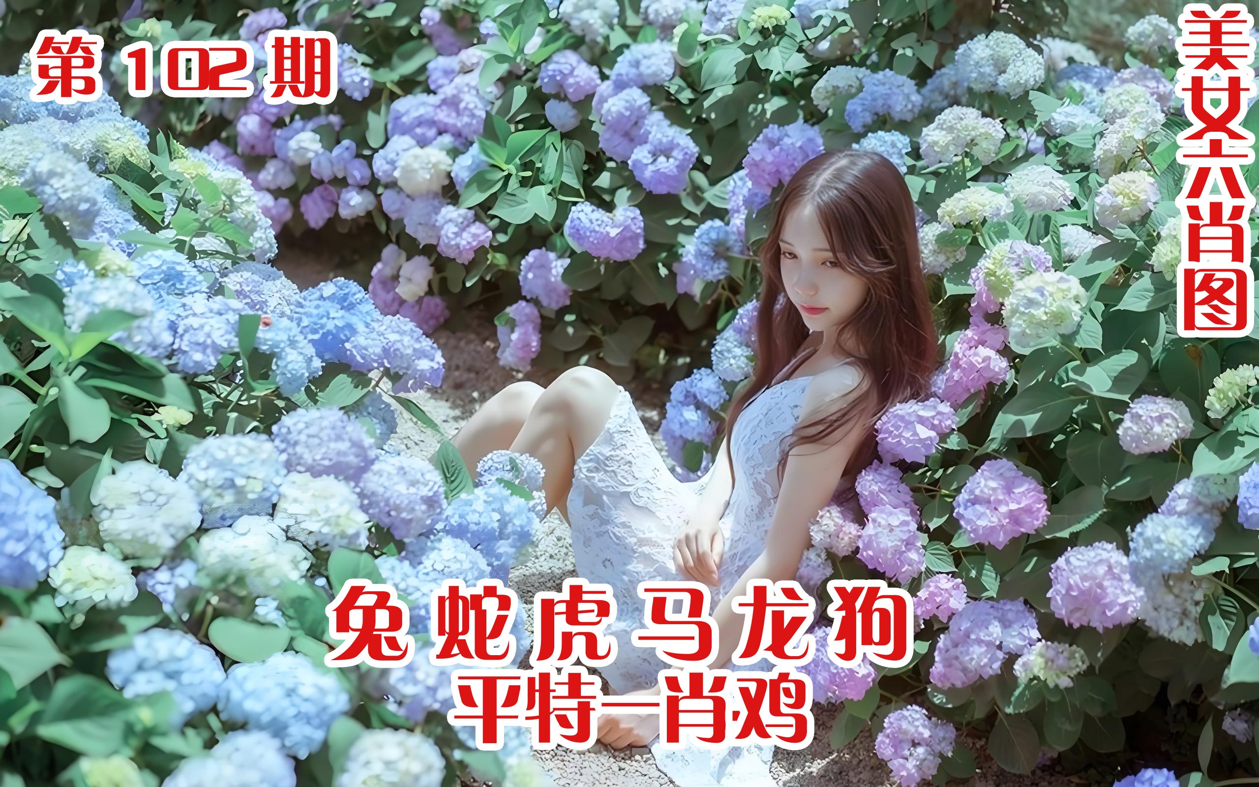 美女六肖 102期