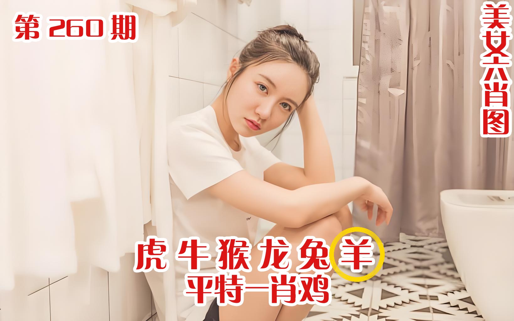 美女六肖 260期