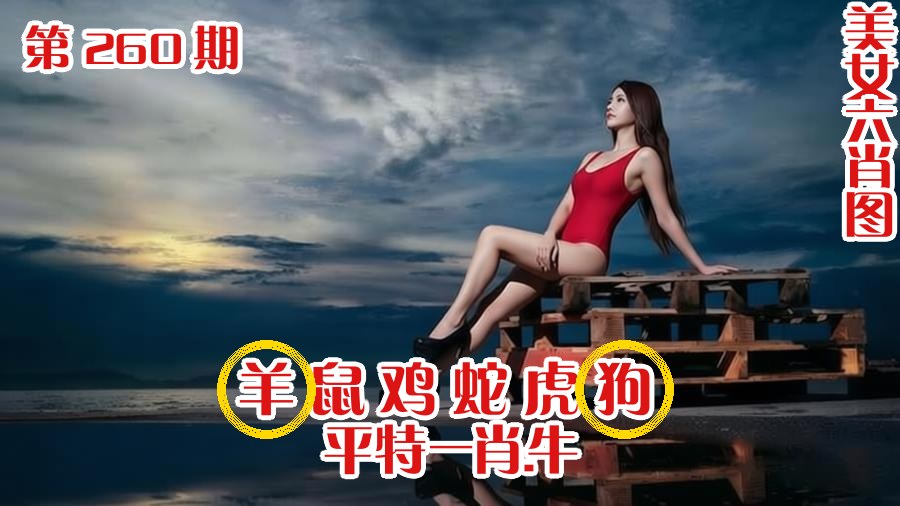 美女六肖 260期